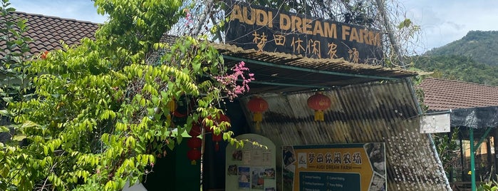 Audi Dream Farm is one of Penang Food.