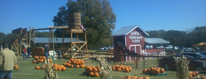 YesterLand Farm is one of Terryさんのお気に入りスポット.