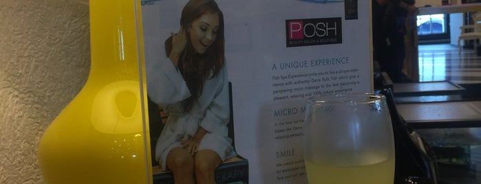 Posh - Beauty Salon and Boutique is one of Locais curtidos por Liliana.