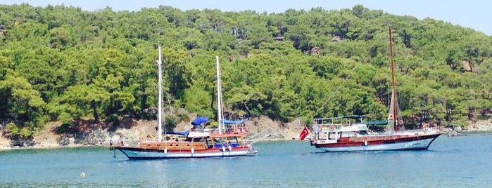 Phaselis Plajı is one of antalya.
