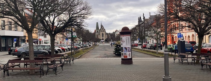 Rakovník is one of Obce s rozšířenou působností ČR.