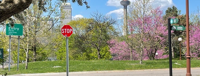 Skylon Tower is one of Niagara Falls.