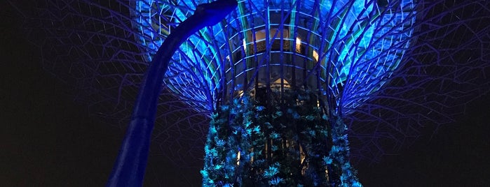 Gardens by the Bay is one of Lugares favoritos de Sebastian.