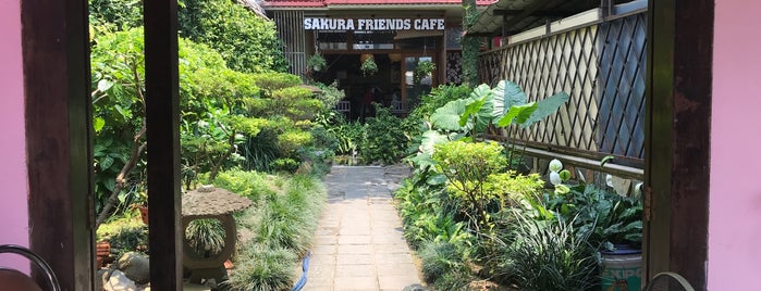 Sakura Friends Cafe is one of ハノイ楽しみダナン🇻🇳.