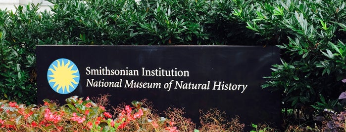 Smithsonian National Museum of Natural History is one of Washington, DC.