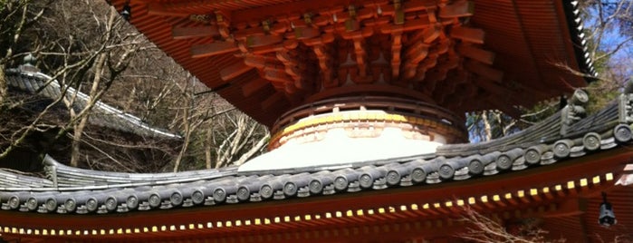 大威徳寺 is one of 多宝塔 / Two Storied Pagoda in Japan.