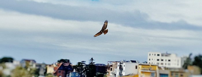 The 15 Best Places With Scenic Views In San Francisco