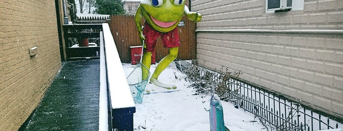 Gone Fishin' Frog is one of LeapFrog!.