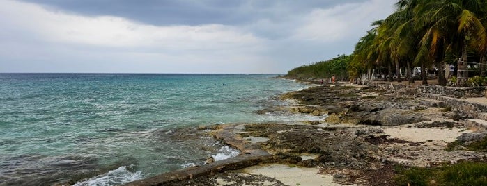 Dzul Ha Reef is one of NURSECON AT SEA 🚢 2024 MEXICO 🇲🇽 BAHAMAS 🇧🇸.