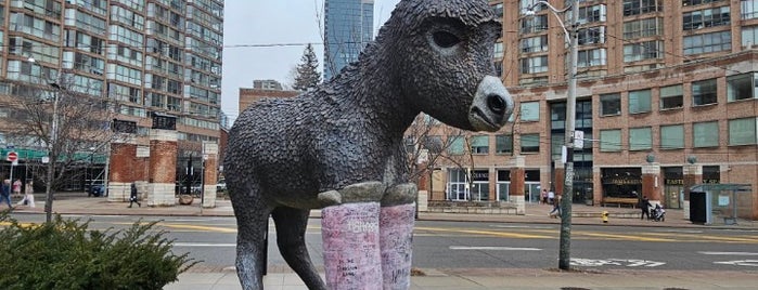 Primrose The Wonky Donkey (2019) by Myfanwy Macleod is one of TORONTO RECS.