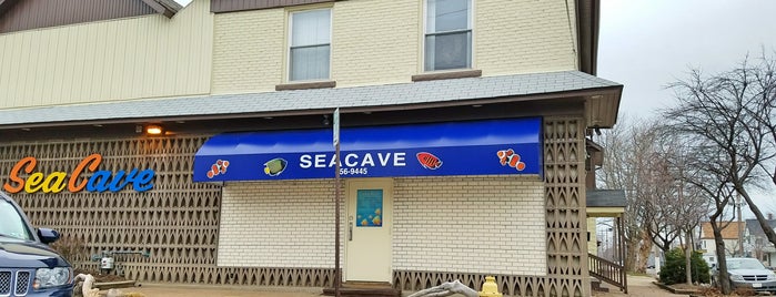 Sea Cave is one of Frogwatch.