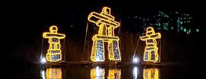 Winter Festival of Lights is one of NIAGARA NIAGARA.