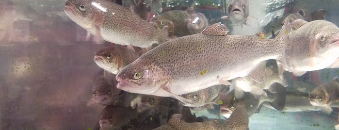 Wholey's Fish Market is one of The 11 Best Places for Trout in Pittsburgh.