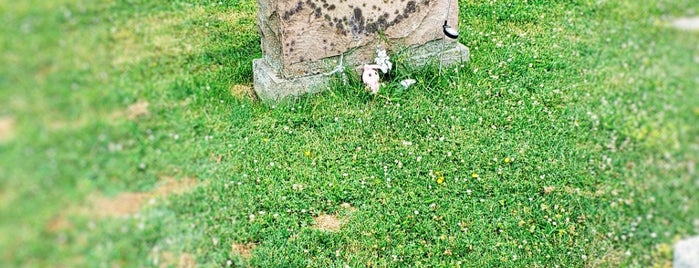 Kristen Pfaff's Grave is one of BUFFALO IN FOCUS.