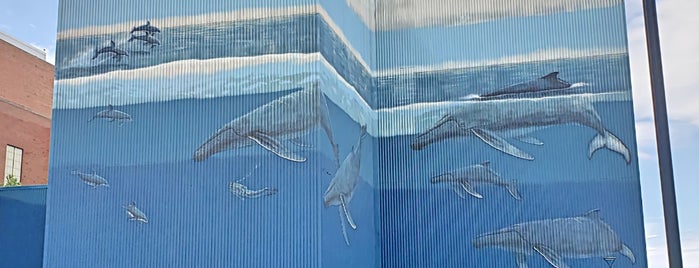 Song Of Whales (1997) mural by Wyland is one of CLE in Focus.
