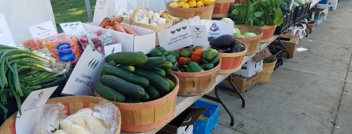 Langdon's Farm Market is one of Farm Fresh Erie.