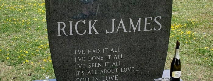 Rick James' Grave is one of Best of Buffalo.