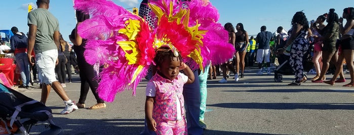 Toronto Caribbean Carnival is one of "Must dos" in TO.