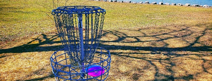 Shipwreck Bluff DGC is one of A & A DAY TRIPPIN.