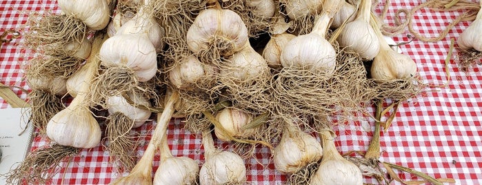 Cleveland Garlic Festival is one of CLE in Focus.