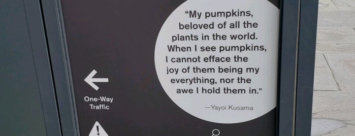 Pumpkins Screaming About Love Beyond Infinity is one of INFINITY ROOMS of Yayoi Kusama.