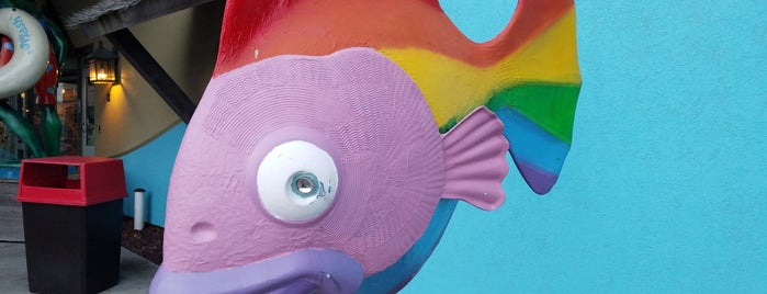 Rainbow Fish is one of GoFish!.