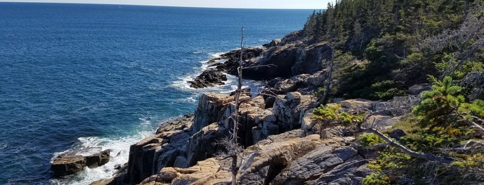 Ocean Path is one of Acadia and bar harbor.