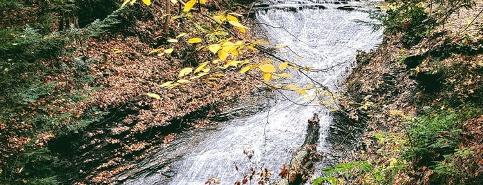 Bridal Veil Falls is one of Lugares favoritos de Eric.