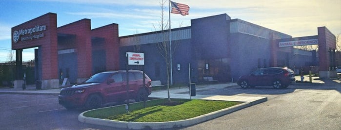Metropolitan Veterinary Hospital Cleveland East is one of CLE in Focus.