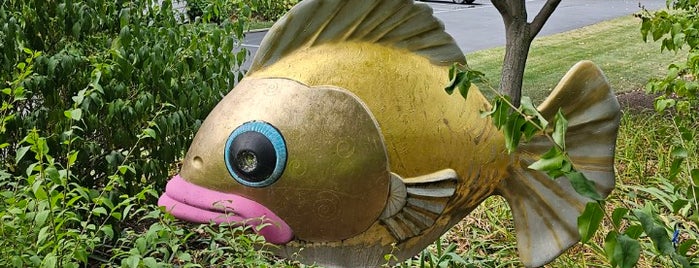 The Gilded Lily Fish is one of GoFish!.