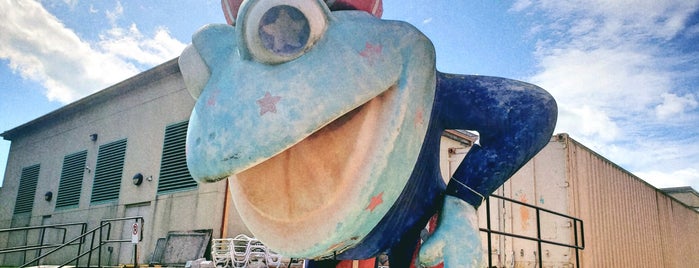 Experience America Frog is one of LeapFrog!.