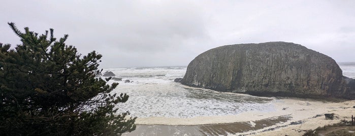 Seal Rock State Park is one of STATE/PROVINCIAL PARKS.