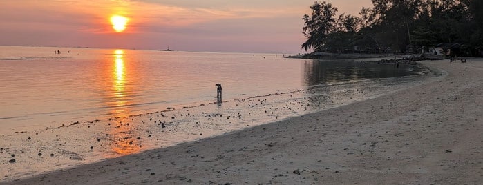 Srithanu Beach is one of Phangan places to eat.