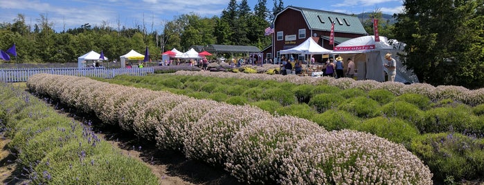 Sunshine Herb & Lavender Farm is one of Port Townsend/Sequim/Port Angeles, Washington.