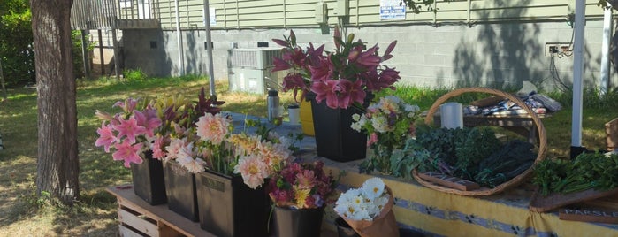 Orcas Island Farmers' Market is one of Orcas Island.