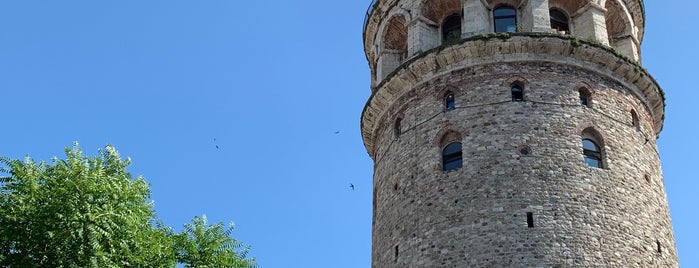 Tour de Galata is one of Lieux qui ont plu à Neda.