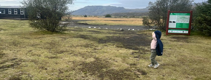 Húsadalur - Þórsmörk is one of Islàndia.