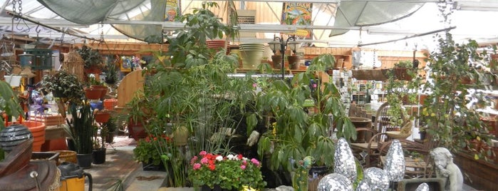 Green Spot Garden Center and Antiques is one of Colorado.