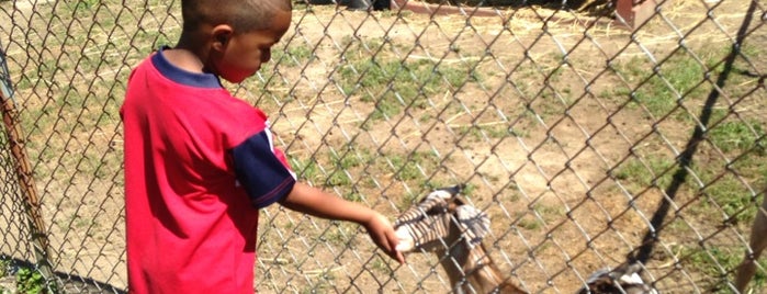 Fondulac Farm Park is one of Fave places.