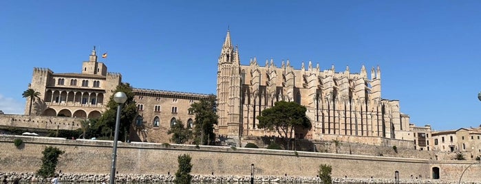 Plaça de la Drassana is one of Malle.