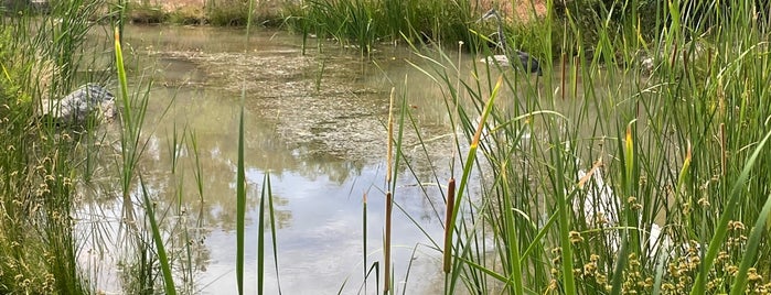 Red Hills Desert Garden is one of St george.