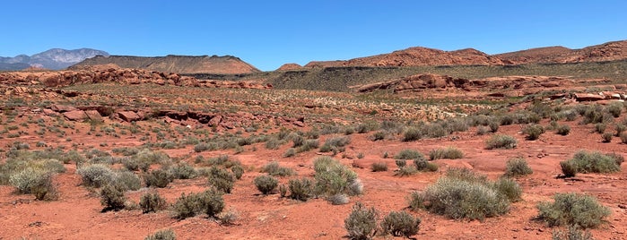 Red Cliffs Desert Reserve is one of Whats Up Southern Utah!.