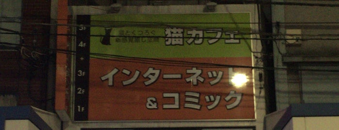 猫カフェまるまる is one of tokyo cat cafes.