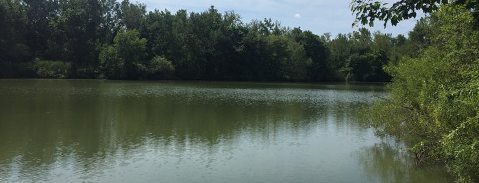 Quinnipiac River Linear Trail is one of QU.