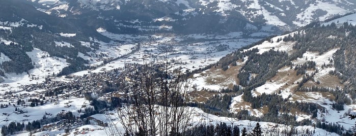Berghaus Wasserngrat is one of Ski Trips.