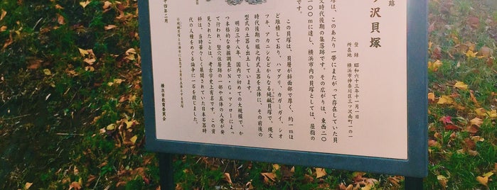 三ツ沢貝塚 is one of 神奈川区のお散歩スポット.