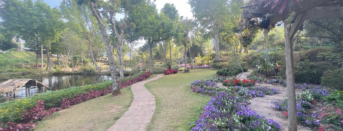 Royal Agricultural Station - Inthanon is one of Chiangmai.