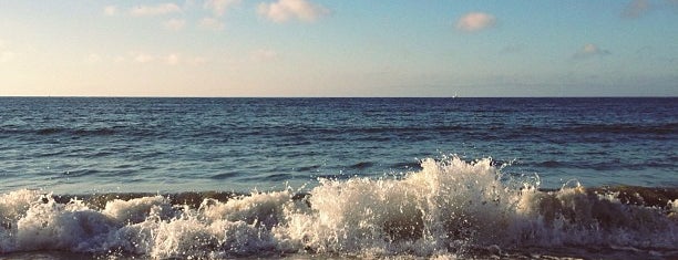 Monterey Municipal Beach is one of Guide to Senta Clala & San Jose.