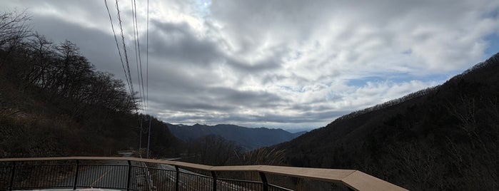 柳沢峠 is one of 日本の🗻ちゃん(⌒▽⌒).