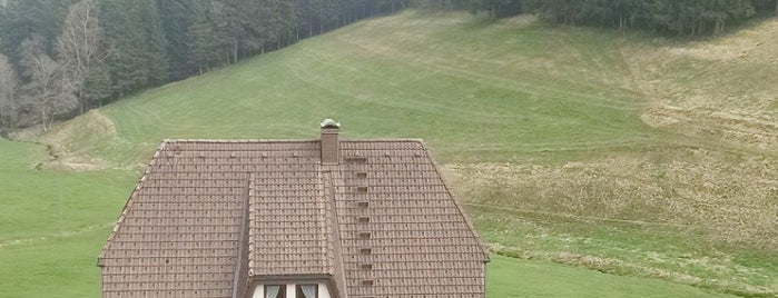 Weißtannenhöhe (1192 m ü. NN) is one of Black Forest Mountains.